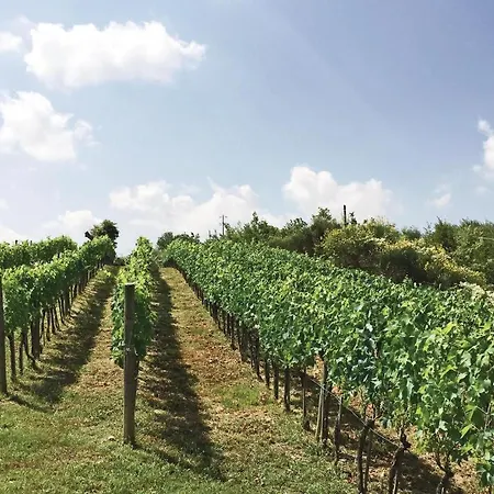 Podere Anteata Ferienhaus Montegiovi