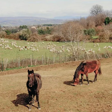 Ferienhaus Podere Anteata *